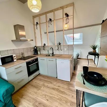 Le Jardin Des Plantes Calais