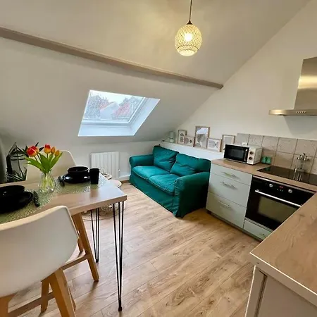 Le Jardin Des Plantes Calais