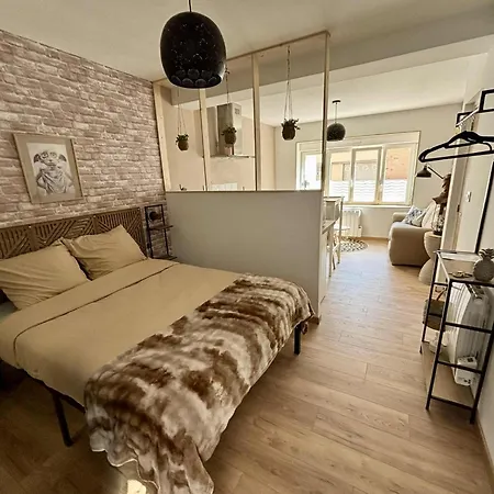 Le Jardin Des Plantes *