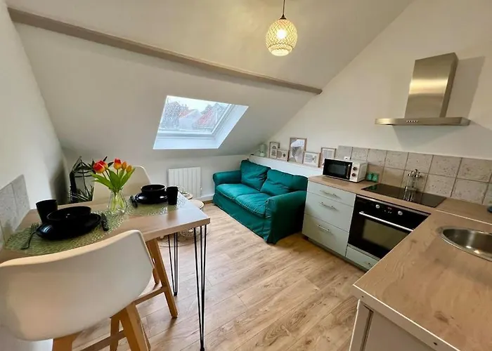 Le Jardin Des Plantes Calais