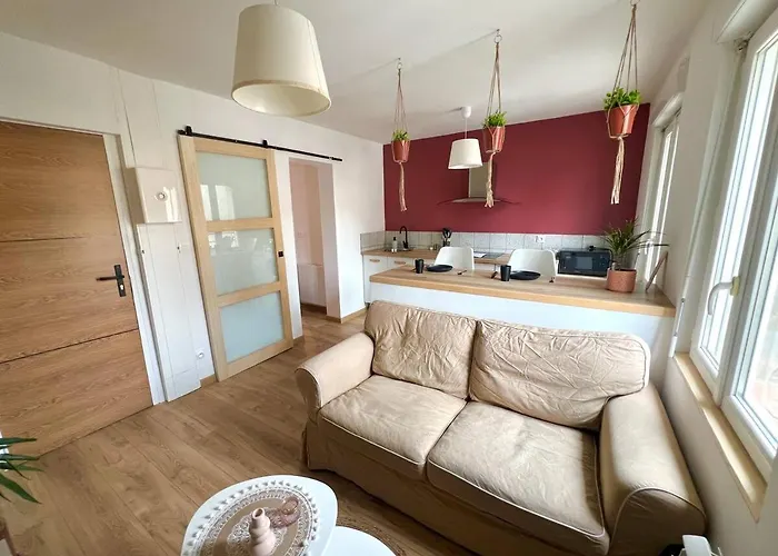 Le Jardin Des Plantes *