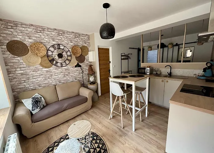 Le Jardin Des Plantes Appartement Calais