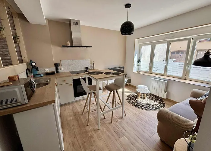 Appartement Le Jardin Des Plantes Calais